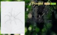 /album/pokedex-classico/a010-traspid-jpg/
